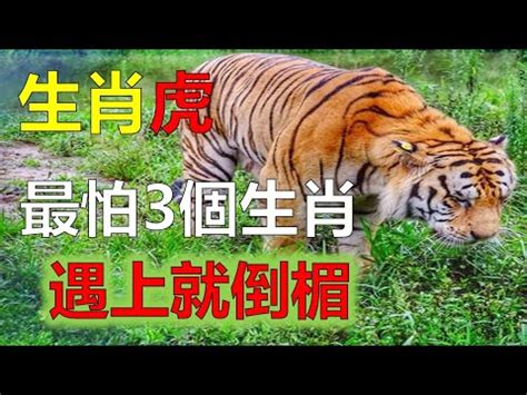 2023掩魂生肖|【2023掩魂生肖】2023年掩魂生肖大公開！你就是其中的幸運兒。